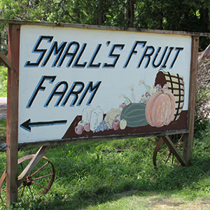 Small's Fruit Farm in Mondamin, Iowa