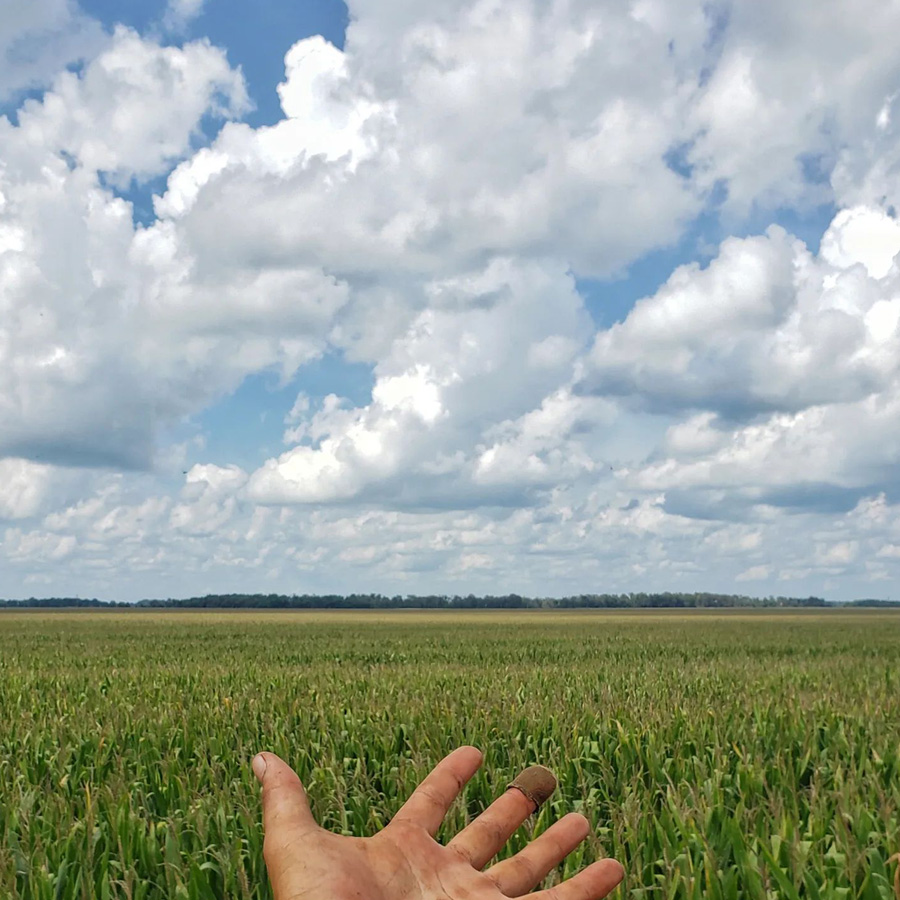 Beyond ethanol: How three international companies are finding success in Iowa